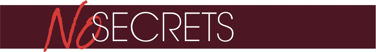 NoSec logo.jpg